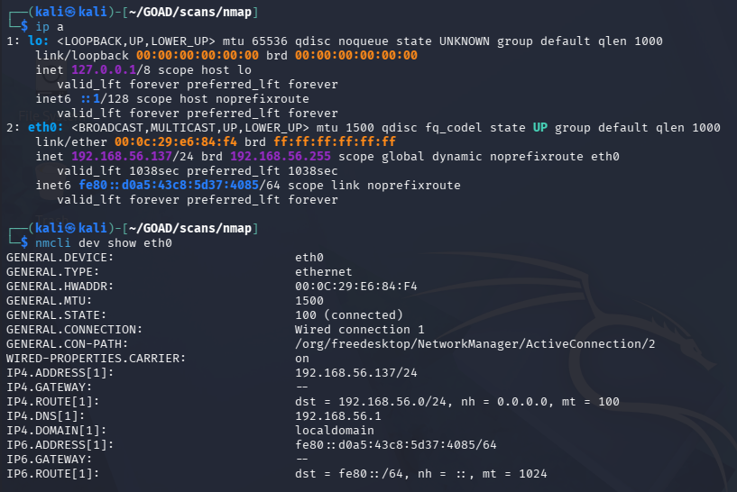 ip a and nmcli dev show eth0 output showing interface config and DNS servers